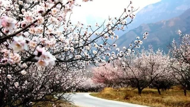 山东这些古村落,惊艳了全中国