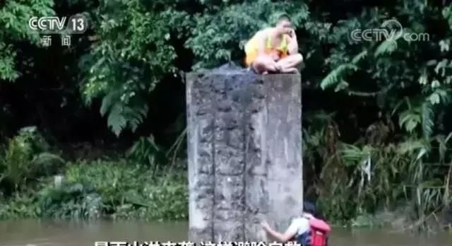 山洪、台风、地震，出行路上这些求生知识必须懂