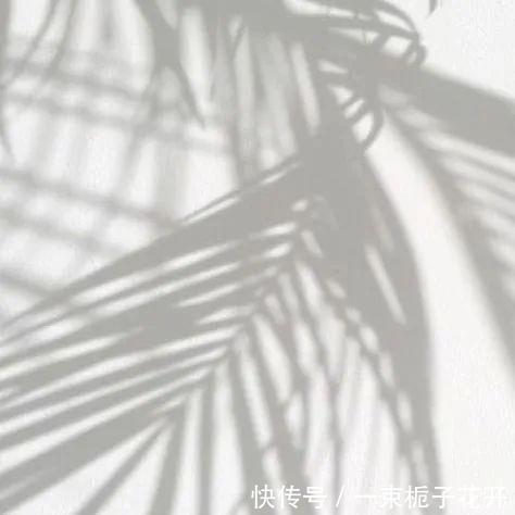 卡其色@今年春夏最流行的5组配色,穿对了显白又显贵!