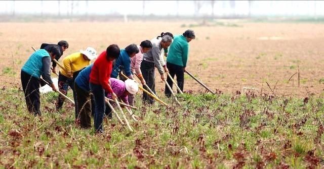  「女方」农村妇女离婚，户口怎么处理，土地会收回吗？注意3种情