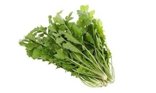 #春笋#清明节小长假快到了,哪些春食野菜是你这次回老家需要惦记的?