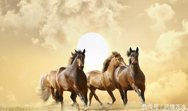 农村的俗语，“虎到中堂，家败人亡”，有何含义呢