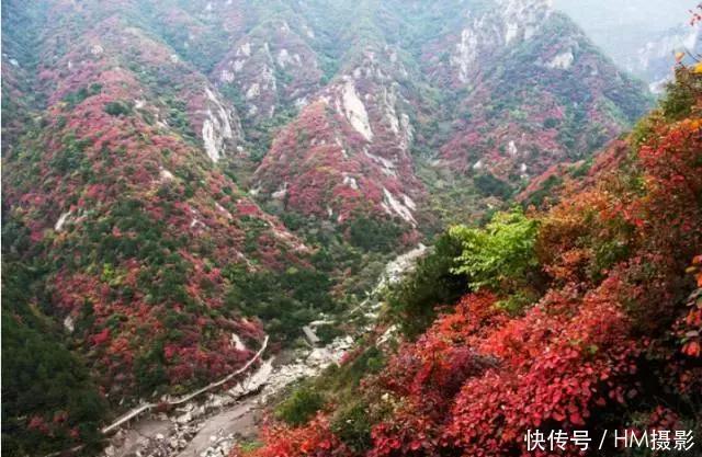 秋天洛阳12处景点,我劝你千万不要来,太美了