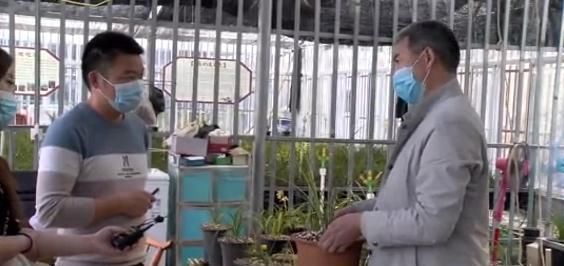  「种植」桐柏这个村家家种植兰花，花比人还多