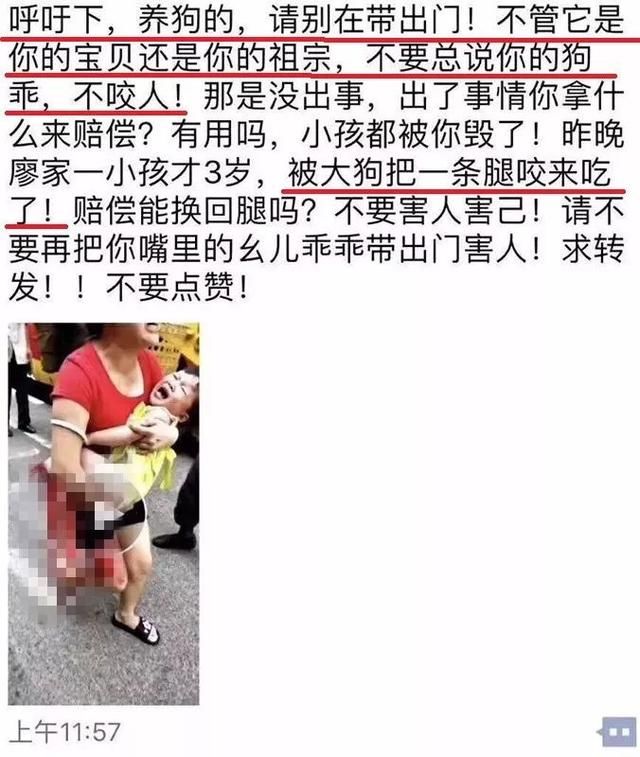 这两条刷屏的“新闻”其实是谣言！这锅狗狗坚决不背！