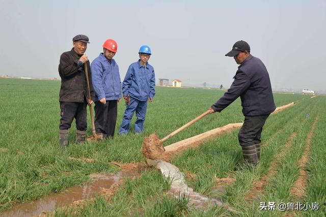 今年，过一段时间，这3类农民朋友将要面临返乡，看看有你么
