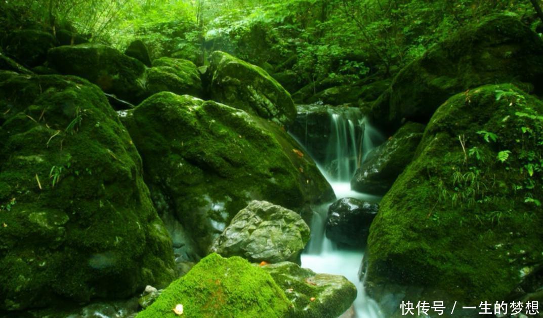  知晓@长江最大支流是汉江，汉江最大支流在哪里？来堵河源看看就