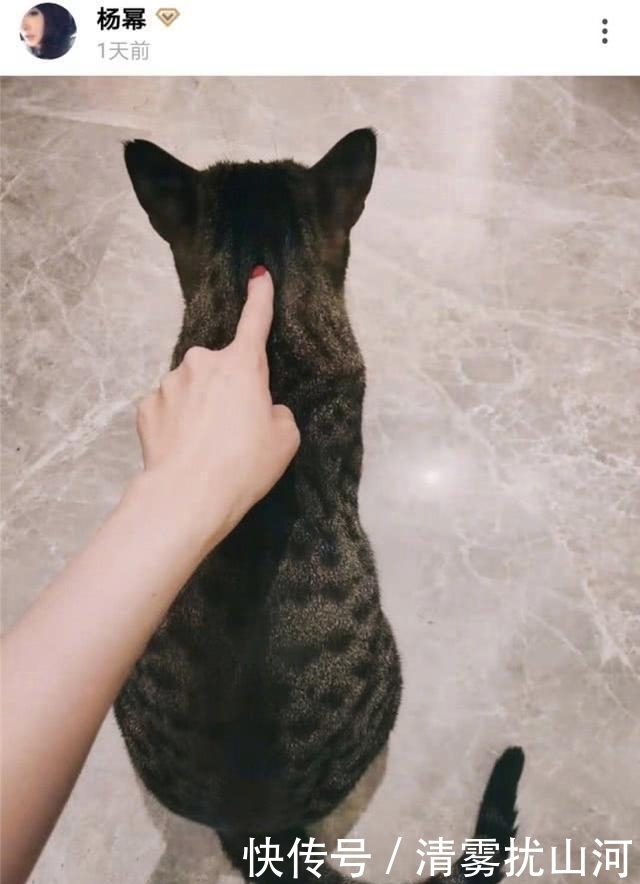 杨幂魏大勋恋情图片