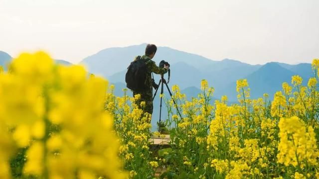 3月，去婺源看漫山油菜花