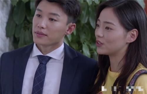 精英律师戴曦麦飞结局