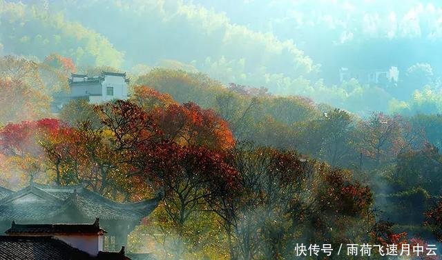 安徽旅游探秘九子岩 塔川秋色 木坑竹海 秋游新安江山水画廊3日自