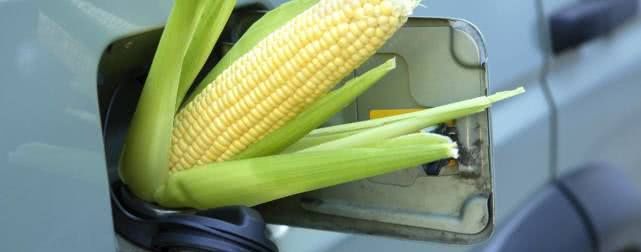  价格|为啥乙醇汽油的价格就要低？河南车主有话说，这根本就是歧