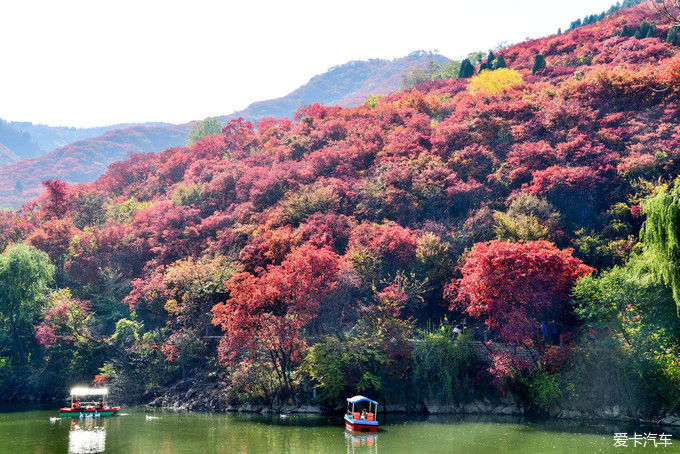 红遍万山的红叶谷【2020热门旅游景点】