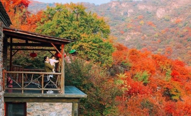 山上即将红叶漫天，山下百种山货齐聚，坡峰岭溜娃赏景一站配齐