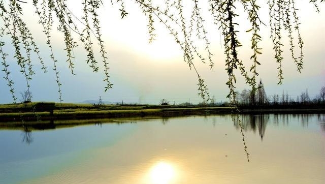  gdp@陕西人口接近60万的大县 撤县立市又升区 GDP287亿元