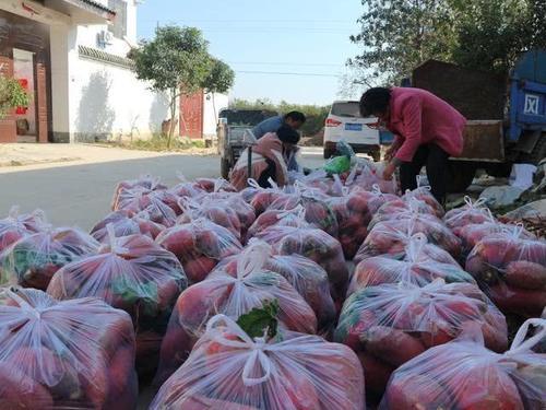  生长周期■农民种植这种蔬菜，生长周期60天，亩产6千斤，能赚多