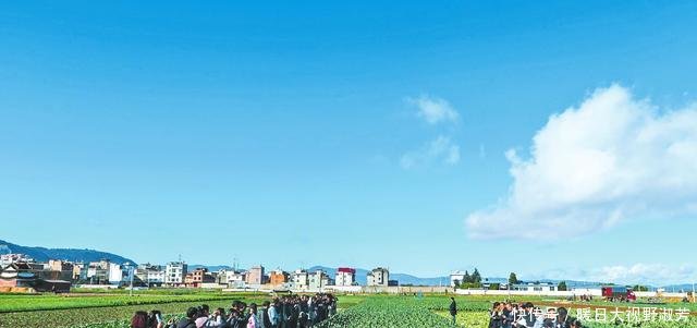  [马云]马云退休之时，又提出了2件大事，农民的生活将因此改变