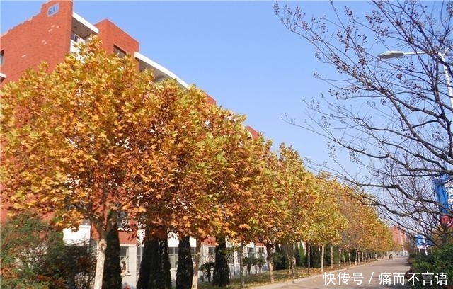 开学了，去青岛最美大学去逛一逛吧，个个堪比5A级景区