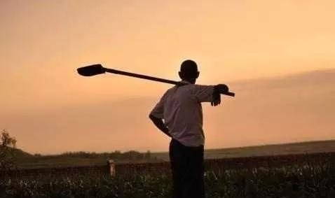 农民那么多公粮白交了？连养老金都拿不到，到底谁该为此负责？