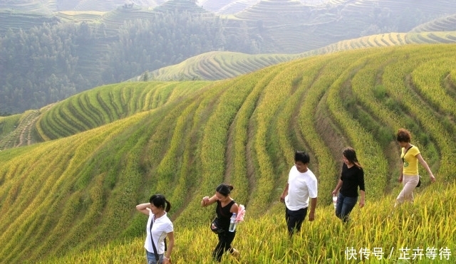  老人■农村男人到底有多“难”？农民老人：这1类人更不容易！您