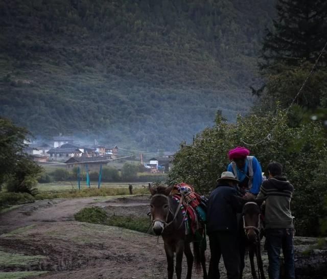 天堂向左，雨崩向右。不去天堂，就去雨崩