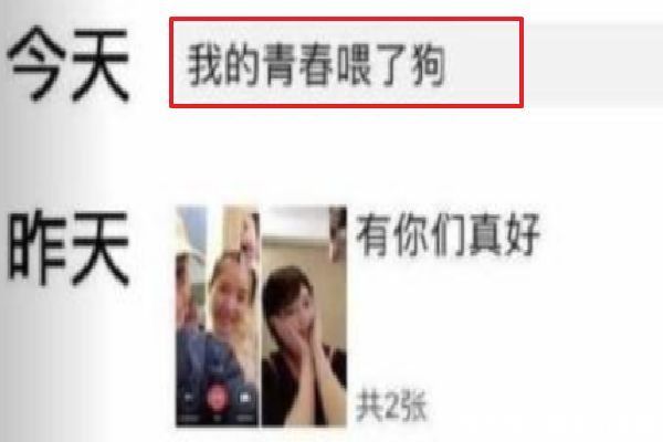 阚清子“喂狗”言论默认分手?刘涛5字曝出原因?