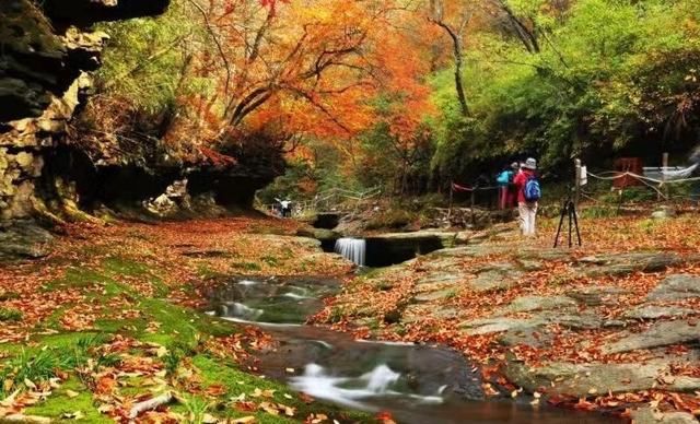 赏红叶，万万没想到还有这些地方，真是美的惊艳了时光。