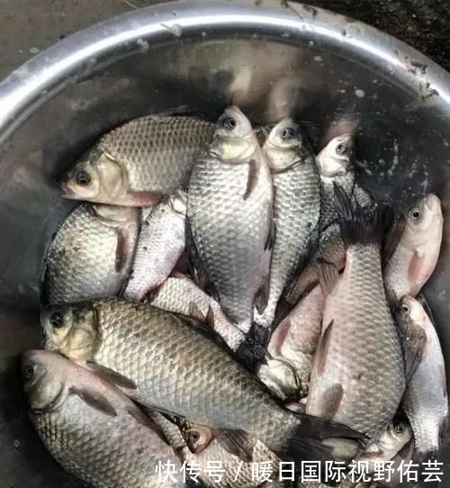 『水质』刮什么风最好钓鱼和最难钓鱼?17年的经验,得出了这个结论