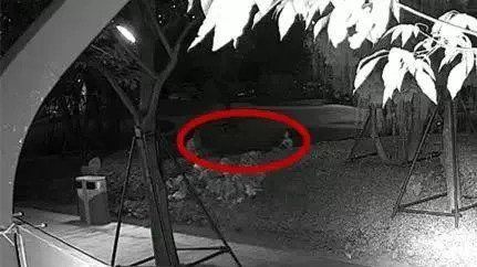 辟谣丨可怕!人才公园有人贩子给大人下药后拐小孩?真相是...