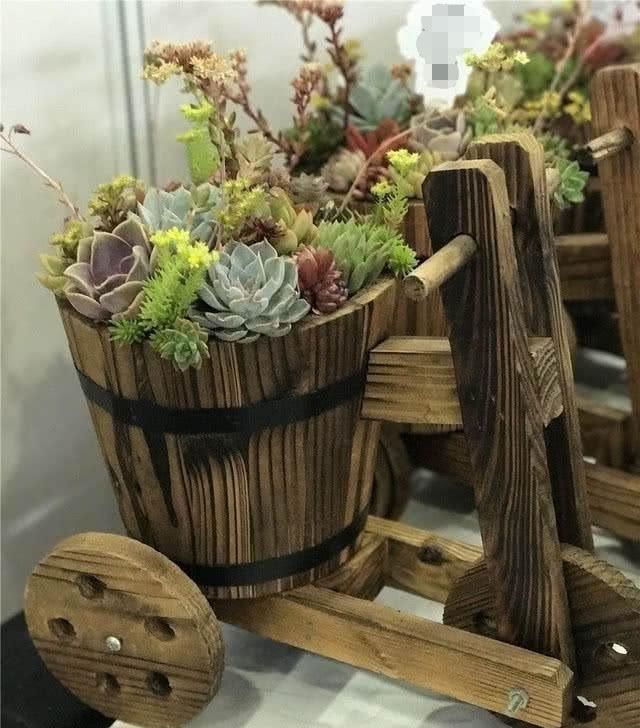  「庭院」农村这些消失的老物件，个个都是宝贝了！放在庭院里养