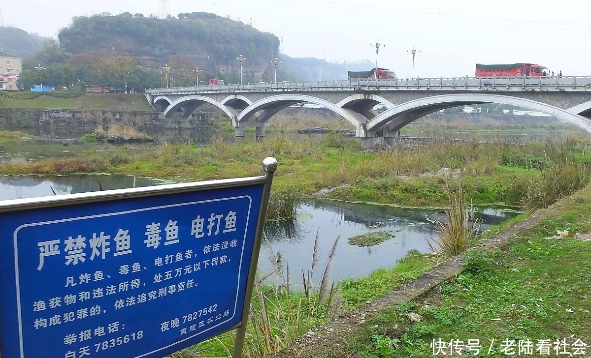  『处罚』收竿加处罚，禁渔期钓鱼问题很严重