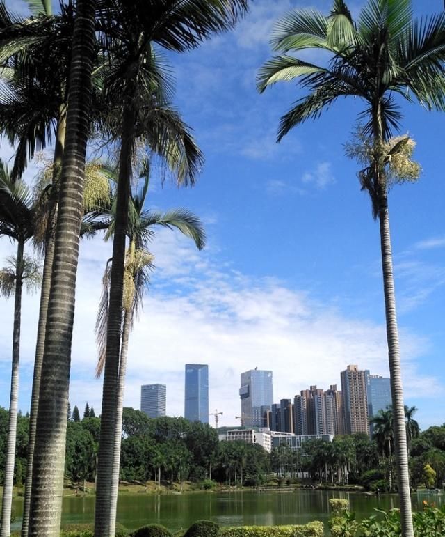  『深圳大学』各大名校纷纷在深圳开办分校区，深圳大学发展速度会不会放缓？