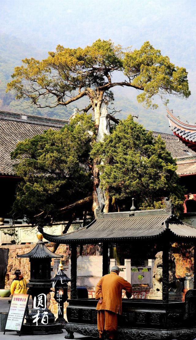 东南佛国天童寺：赴一场人与自然的对话