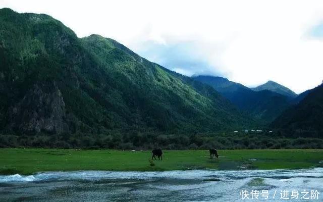 钓鱼人最后的净土西藏，有水的地方就会有鱼