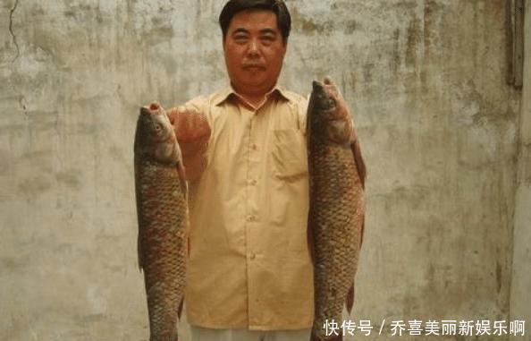  道理：为什么黄河泥沙那么多，鱼还又大又肥？网友一句话阐明道