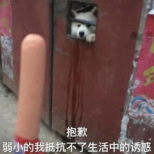 【最强回复】男子吃世上最毒蘑菇进ICU 醒来后还说很好吃