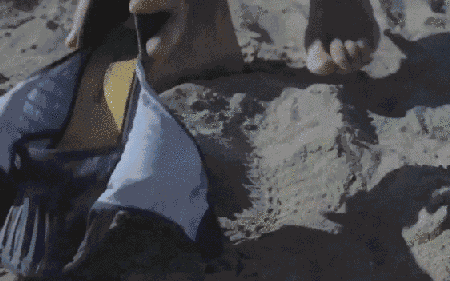 天哪!这款“卫生巾”鞋子，日本人竟说穿得很舒服