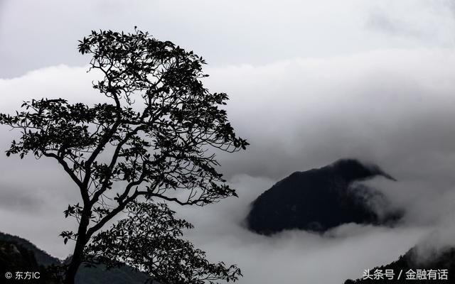 金融市场丨人民币中间价上调176点，央行本月已两度出手稳汇率！