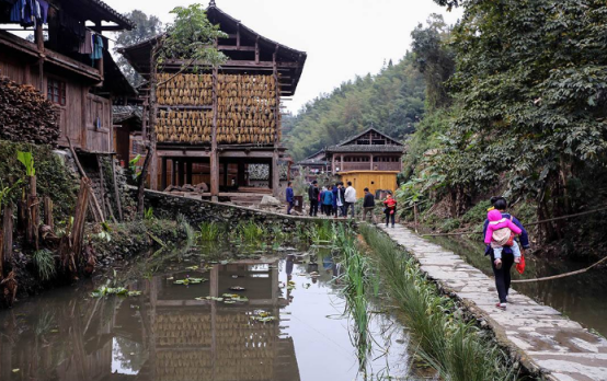 位于大山深处的古寨，被400多棵古楠木包围，网友：隐居的好去处