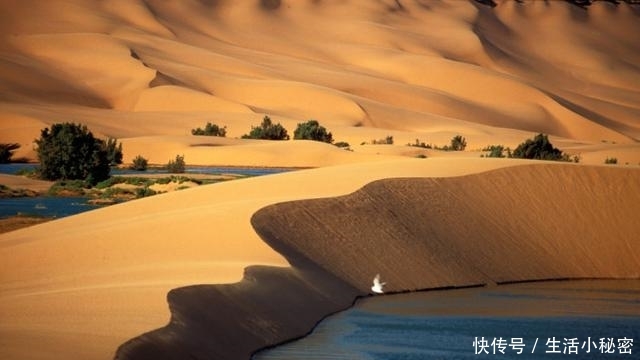 行走在世界上最大的沙漠——撒哈拉沙漠