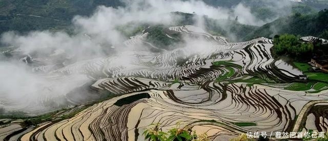 一座有着武夷山的城市，她有着怎样的美？