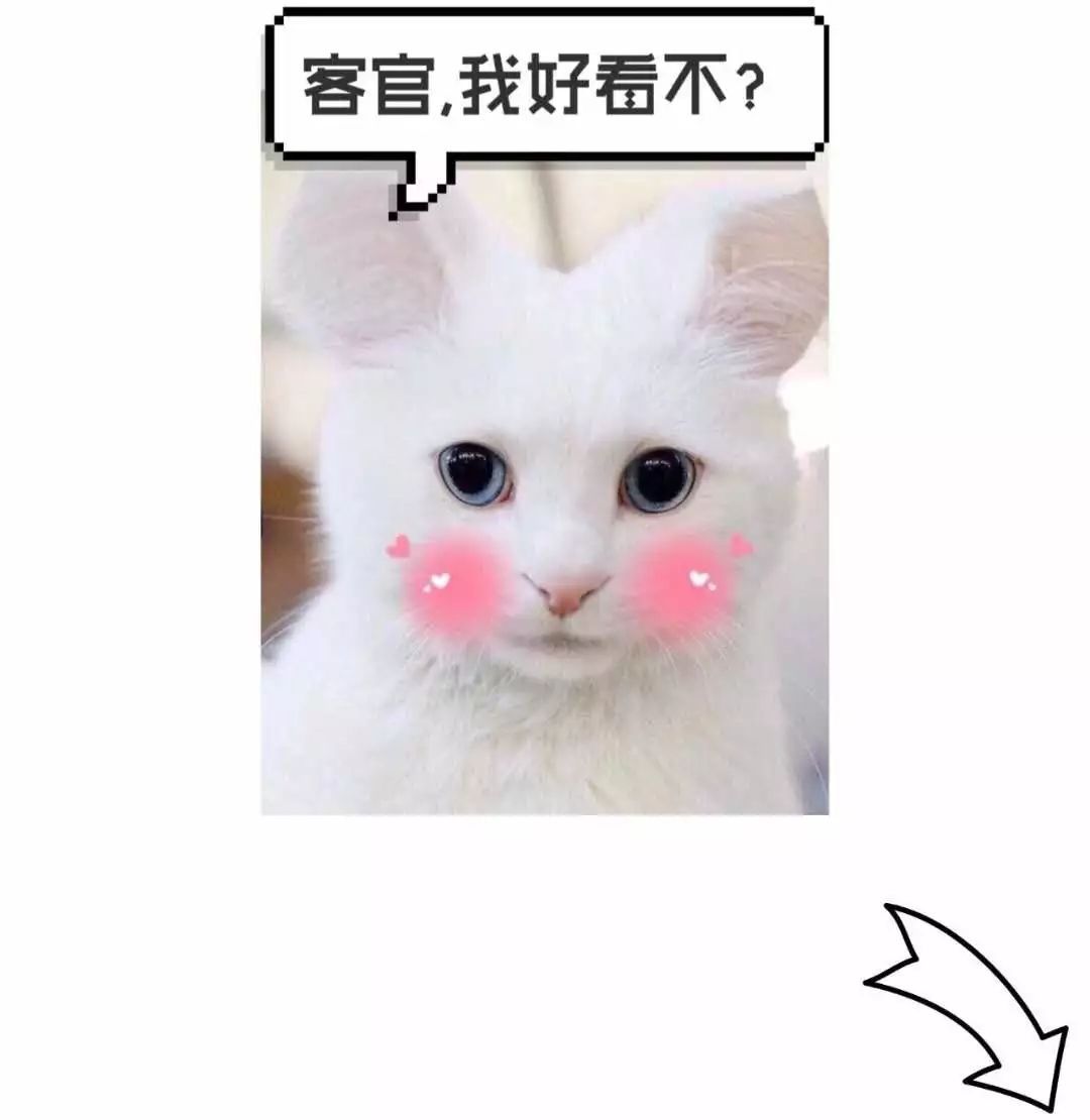 潍坊喜迎新年第一场雪！这里的雪景最好看！