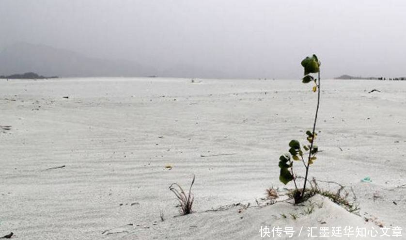  [我国]最值钱的沙漠在中国，曾经日本人想用大米换沙子，我国直