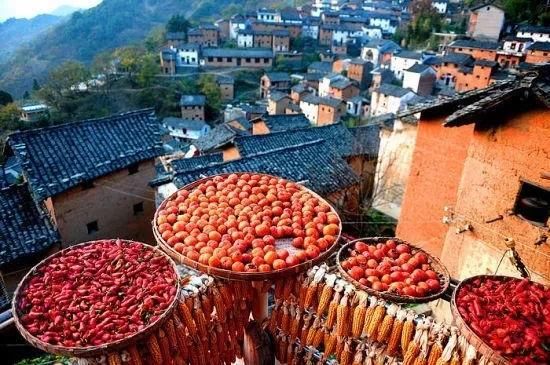 似梦徽州，总有一抹撩人的秋