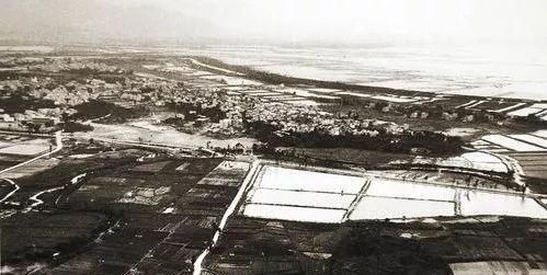  蛇口|这些老照片带你走进老深圳