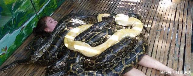女子到动物园参观, 被一条巨蟒直接缠住, 吓得当