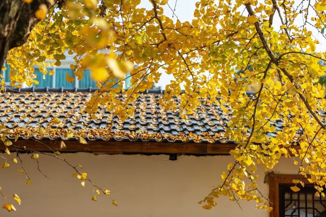 10个藏在深山人不知的古村落，却是世外桃源