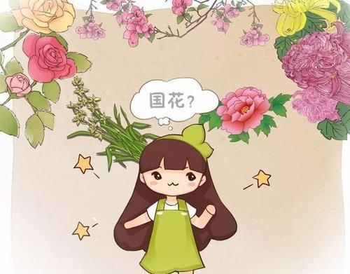  [路边]路边这些最常见的花，全都是国花！