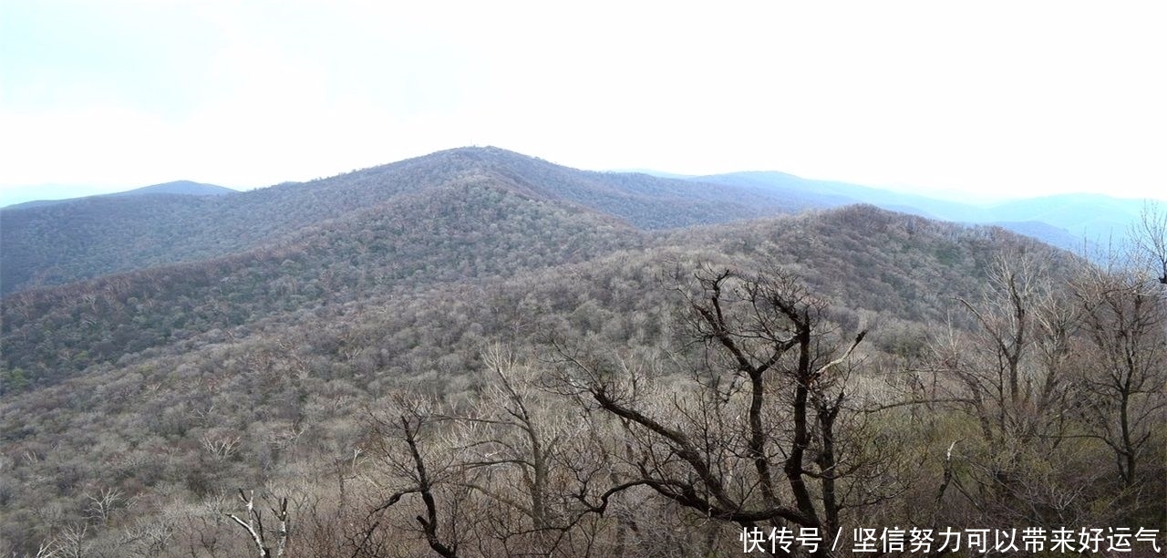 东北一座不知名森林公园,为何敢叫板华山称天下第一险?有何特殊