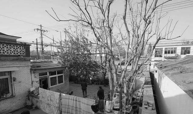 惊艳设计圈的10套老宅改造,真美!